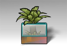 Transparent Planter.png