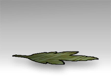 Leaf Rug.png