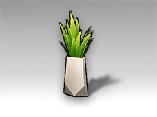 Prickly Ornamental Plant.png