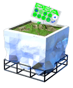 Potted Pea Plant.png
