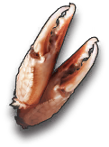 Crab Claw.png