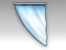 Blue and White Canvas Curtain (Right).png