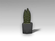 Potted Cactus Plant.png