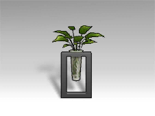 Elegant Decorative Plant.png