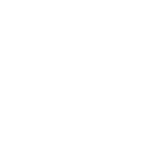 Cambrian Series