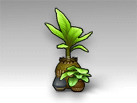 Tropical Potted Plant.png