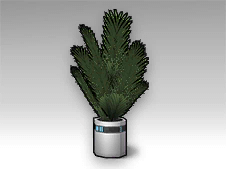 Potted Conifer Plant.png