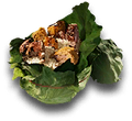 Hunter's Rice Wrap.png