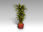 Effervescent Potted Plant