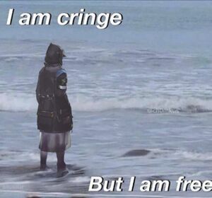 The meme "I am cringe but I am free" edited to have Doctor looking out over the ocean.