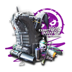Social Expectation Backpack.png
