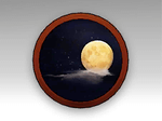 Panoramic Display (Moonlight)