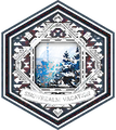 Snowrealm Vacation Medal.png