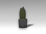 Potted Cactus Plant