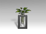 Elegant Decorative Plant