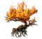 Inextinguishable Torch.png