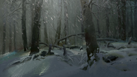 A forest amidst a snowfall