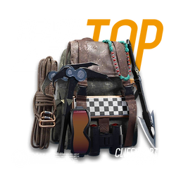 Reach the Top.png